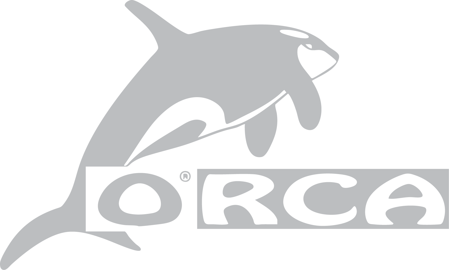 Orca